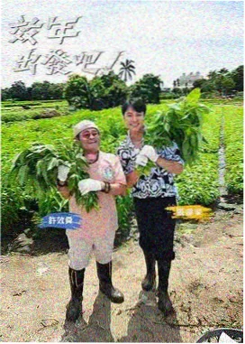 131视频综艺山海食堂第三期封面